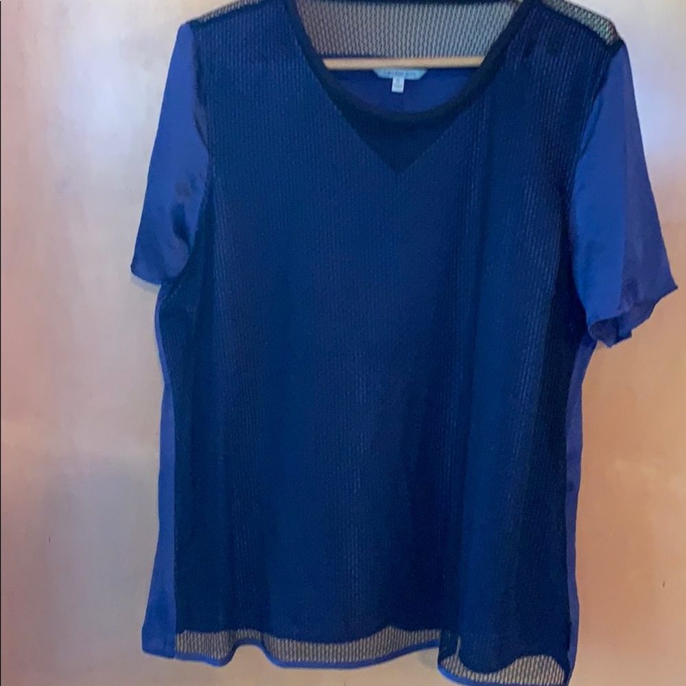 Very cool blue top w netting overlay